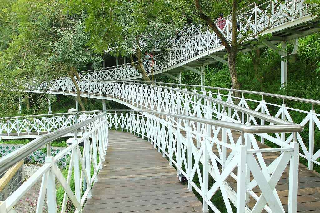 嘉義竹崎公園天空走廊‧花仙子步道